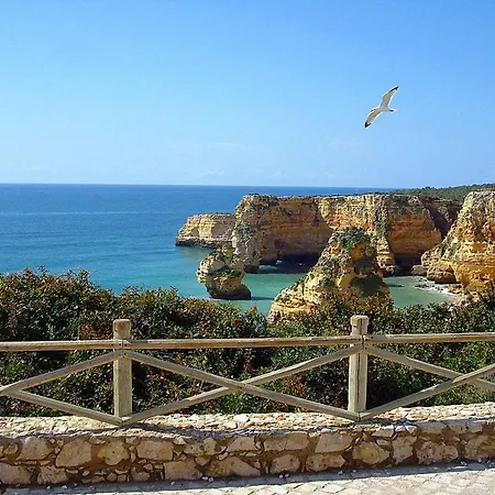 Casa Palmeiras Luxury Tranquil Area Bbq Large Pool *