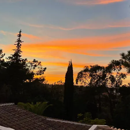 Casa Palmeiras Luxury Tranquil Area Bbq Large Pool Villa