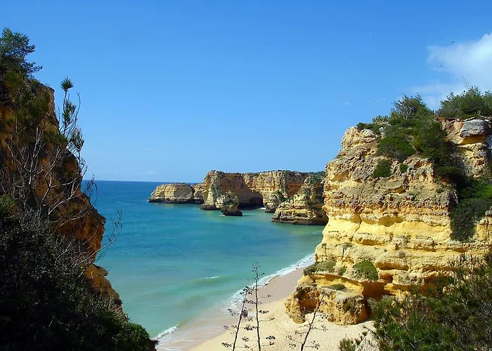 Villa Casa Palmeiras Luxury Tranquil Area Bbq Large Pool