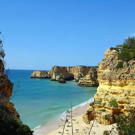 Casa Palmeiras Luxury Tranquil Area Bbq Large Pool * Carvoeiro (Lagoa)